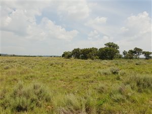 5 ha Land available in Donkerhoek