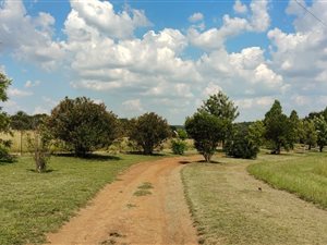8.6 ha Farm in Boschkop