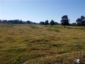 9 ha Farm in St Albans