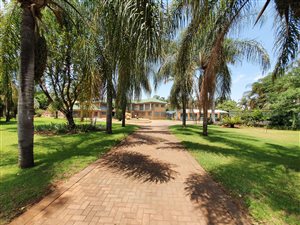 1 ha Farm in Doornpoort and surrounds