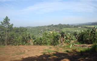 1486 m² Land available in Munster