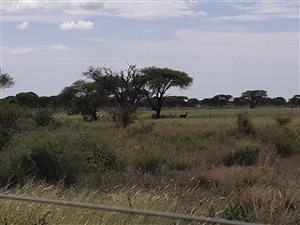400 ha Farm in Bela-Bela (Warmbaths)