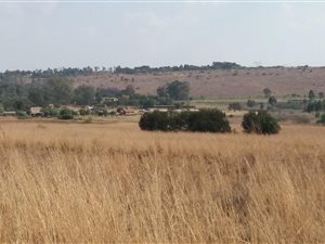 5 ha Land available in Rietfontein