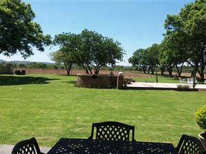 168 ha Farm in Mookgophong (Naboomspruit)