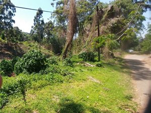 8000 m² Land available in Paradise Valley