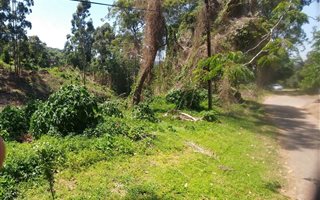 8000 m² Land available in Paradise Valley