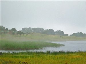 196 ha Farm in Dullstroom