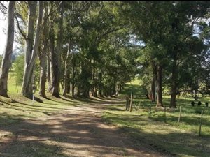 270 ha Farm in Camperdown
