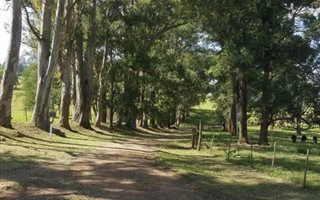270 ha Farm in Camperdown