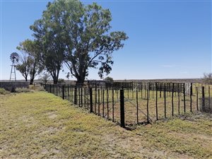 3538.3 ha Farm in Williston
