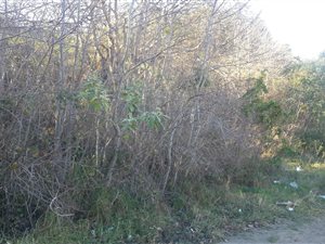 4108 m² Land available in Pacaltsdorp