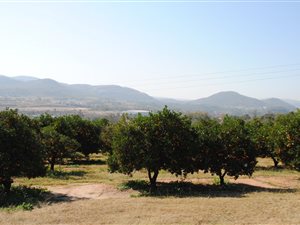 112 ha Farm in Nelspruit