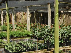 7.2 ha Farm in Ballito