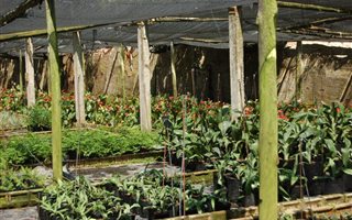 7.2 ha Farm in Ballito