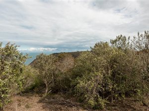 2.9 ha Farm in Victoria Heights