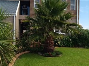 4 Bed House in Riverspray Lifestyle Estate