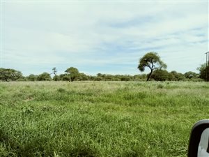 1905 ha Farm in Thabazimbi