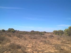 2.1 ha Land available in Long Acres