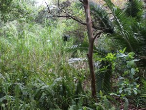 1012 m² Land available in Leisure Bay
