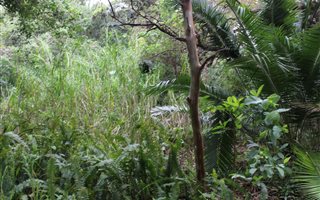 1012 m² Land available in Leisure Bay