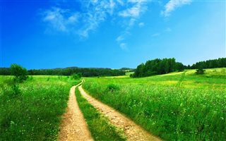 6000 m² Land available in Pacaltsdorp