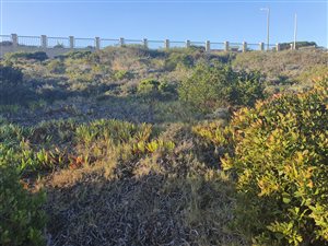 500 m² Land available in Dana Bay