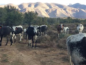 1285 ha Farm in Prince Albert