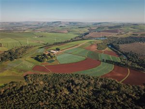 110 ha Farm in Eston