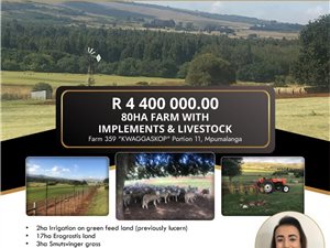 80 ha Farm in Belfast