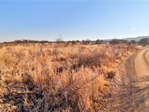 3.3 ha Land available in Roodeplaat