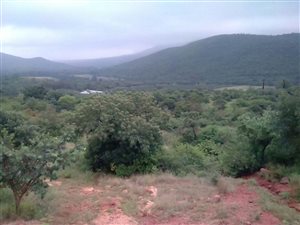 69 ha Farm in Louis Trichardt