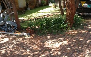 154 ha Commercial Farm in Musina