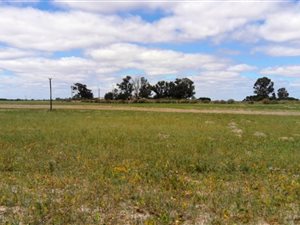 426 ha Farm in Dwarskersbos