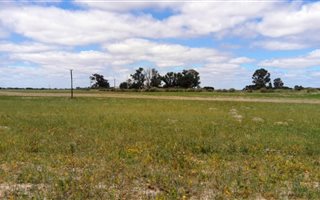 426 ha Farm in Dwarskersbos