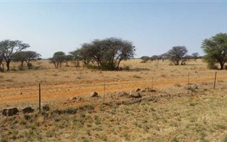 Farm in Kimberley