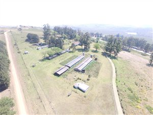 12 ha Farm in Richmond