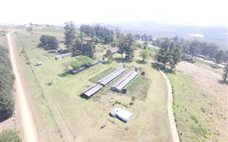 12 ha Farm in Richmond