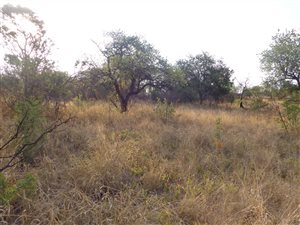 1199 m² Land available in Roodeplaat