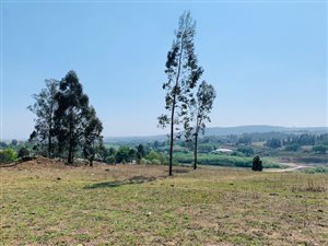2.4 ha Land available in Rosetta