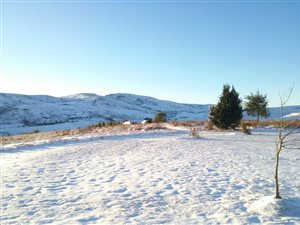40 ha Farm in Impendle