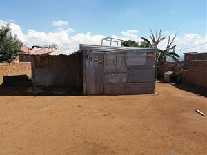 Farm in Soshanguve