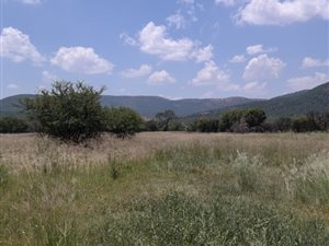 1.7 ha Farm in Vredefort