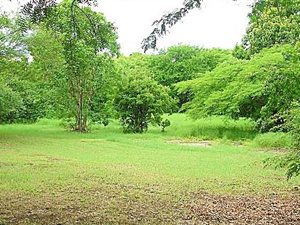1020 m² Land available in Atholl