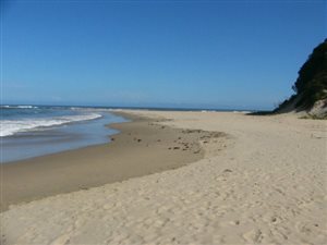 805 m² Land available in Cintsa