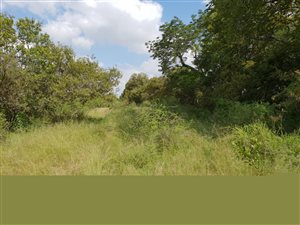 4 ha Farm in Rietfontein