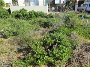 394 m² Land available in Stilbaai