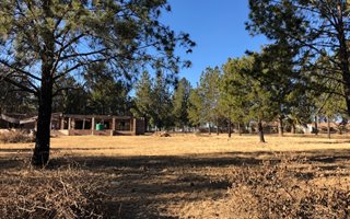 1 ha Farm in Crowthorne