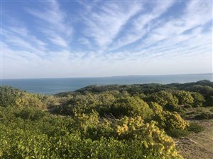 1392 m² Land available in Dana Bay