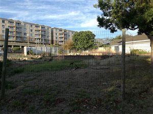 1010 ha Land available in Ridgeworth
