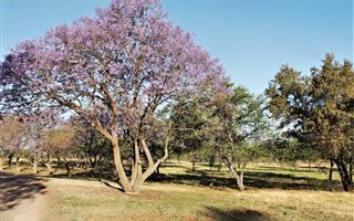4 ha Land available in Honingklip AH